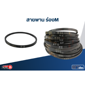 สายพาน ร่องM