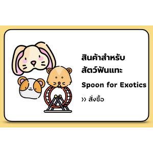 สินค้าสำหรับสัตว์ฟันแทะ