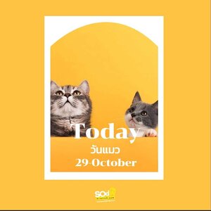 Today เพราะทุกวันเป็นวันสำคัญ