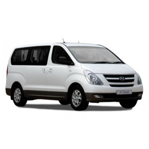 พรมปูพื้นรถเข้ารูป Hyundai H1 Delxue
