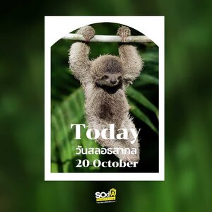 Today เพราะทุกวันเป็นวันสำคัญ