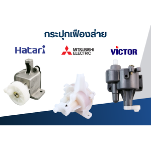 กระปุกเฟืองส่าย