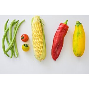 เสริมอาหาร ( food supplement )