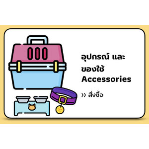 อุปกรณ์ และของใช้