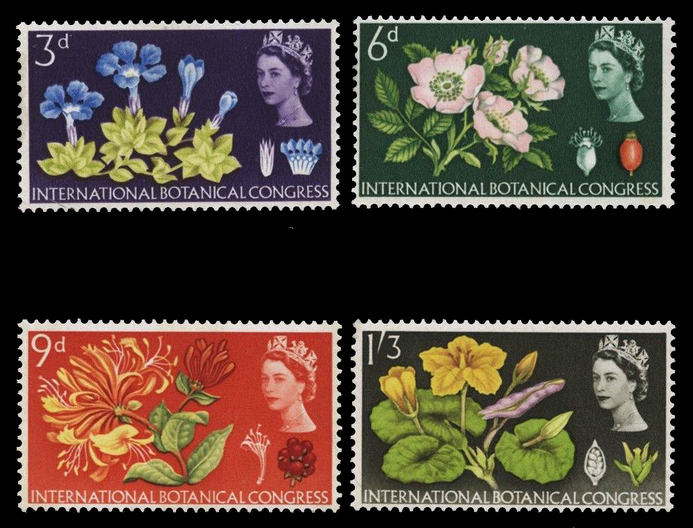 แสตมป์อังกฤษ ชุด 10th Botanical Congress ดอกไม้สวยงาม ปี 1964 - United Kingdom