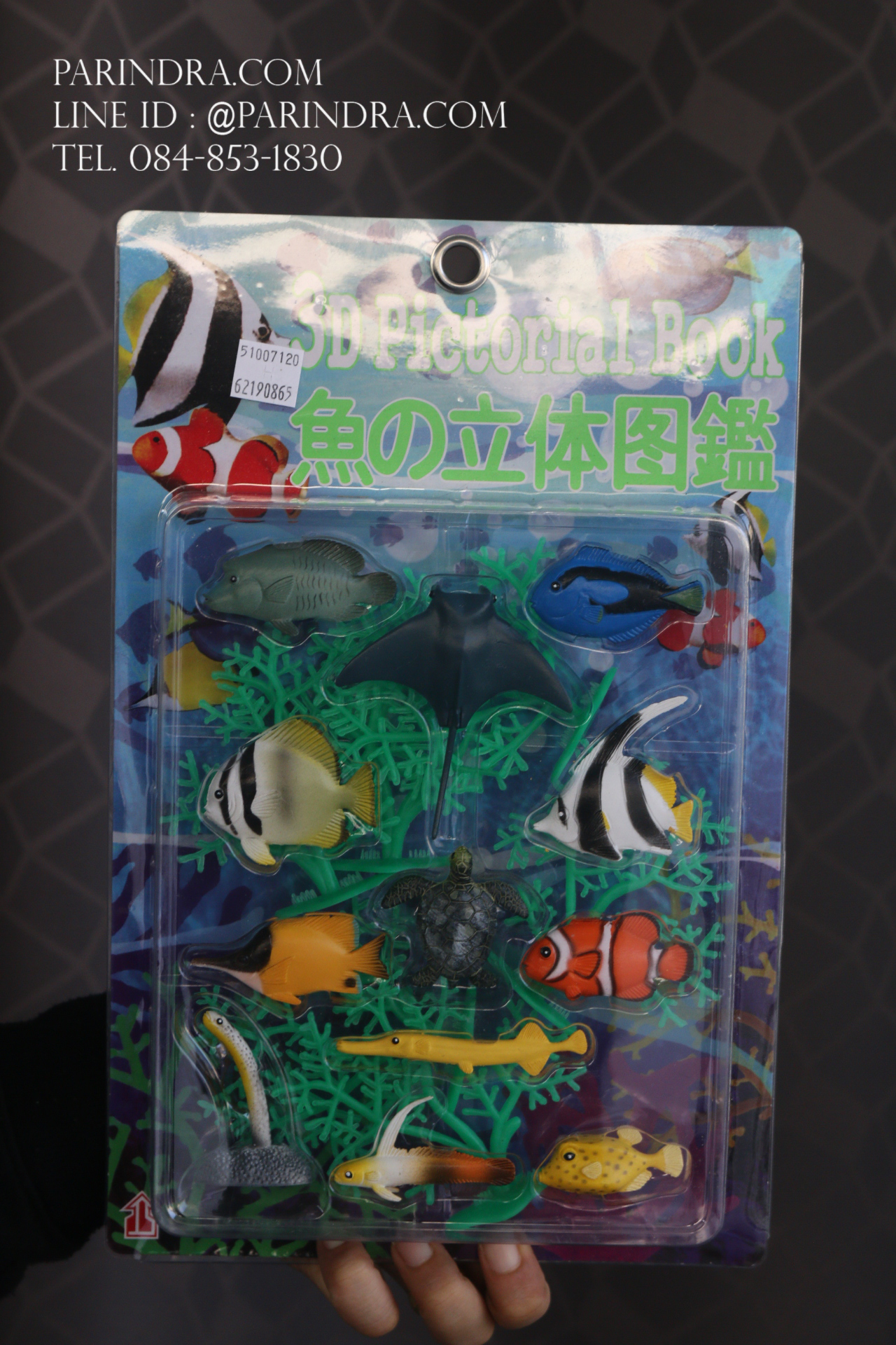 โมเดลสัตว์ปลาทะเล กลุ่มปลาหลากหลายสายพันธุ์