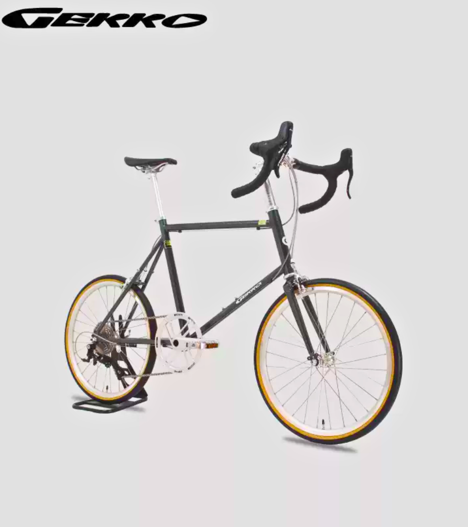 GEKKO CrMR Mini Velo 451 Wheel Chromoly 9 Speed Ultralight Bike