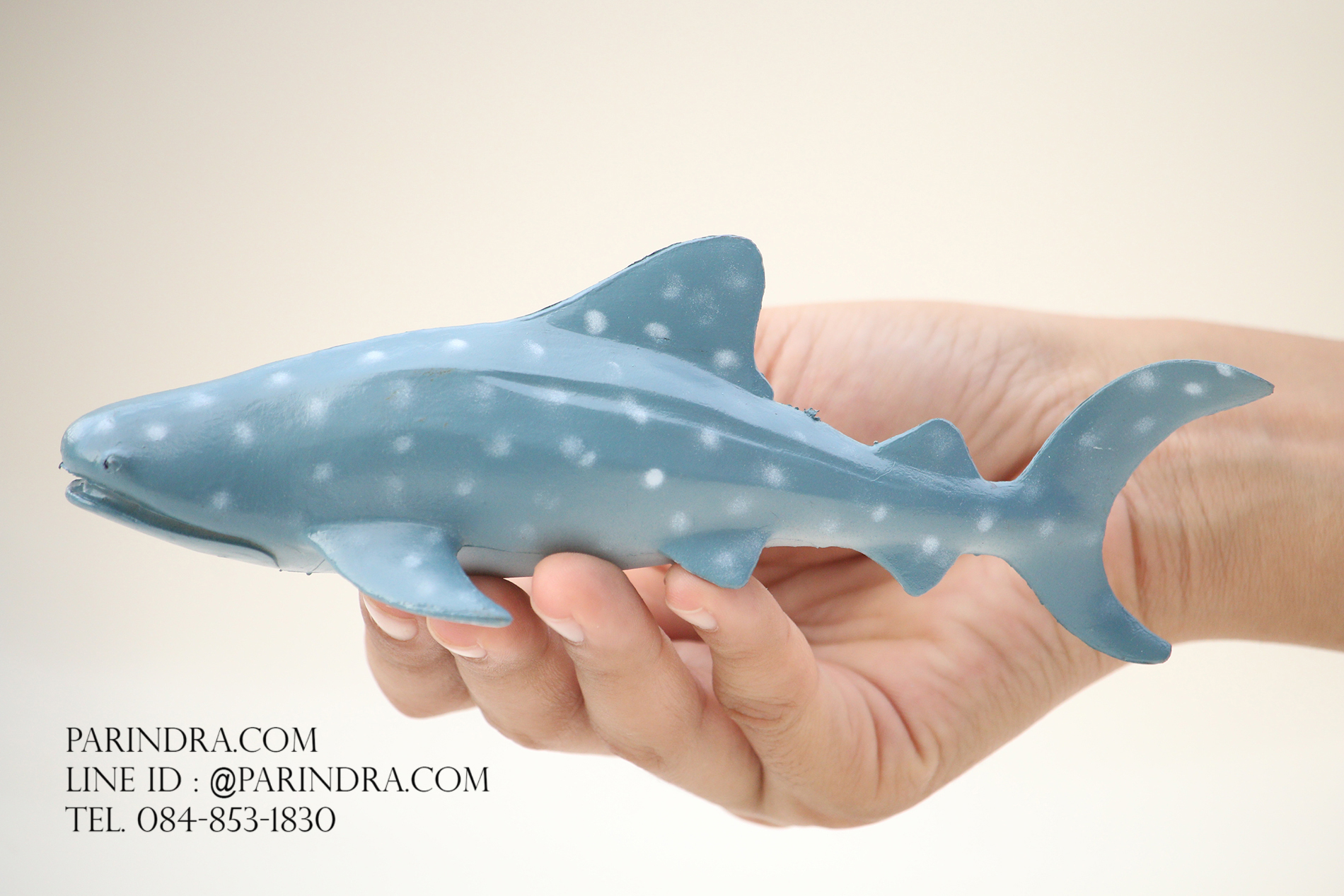 โมเดลสัตว์ทะเล ชุด Ocean World กลุ่มปลาฉลามหลากหลายสายพันธุ์