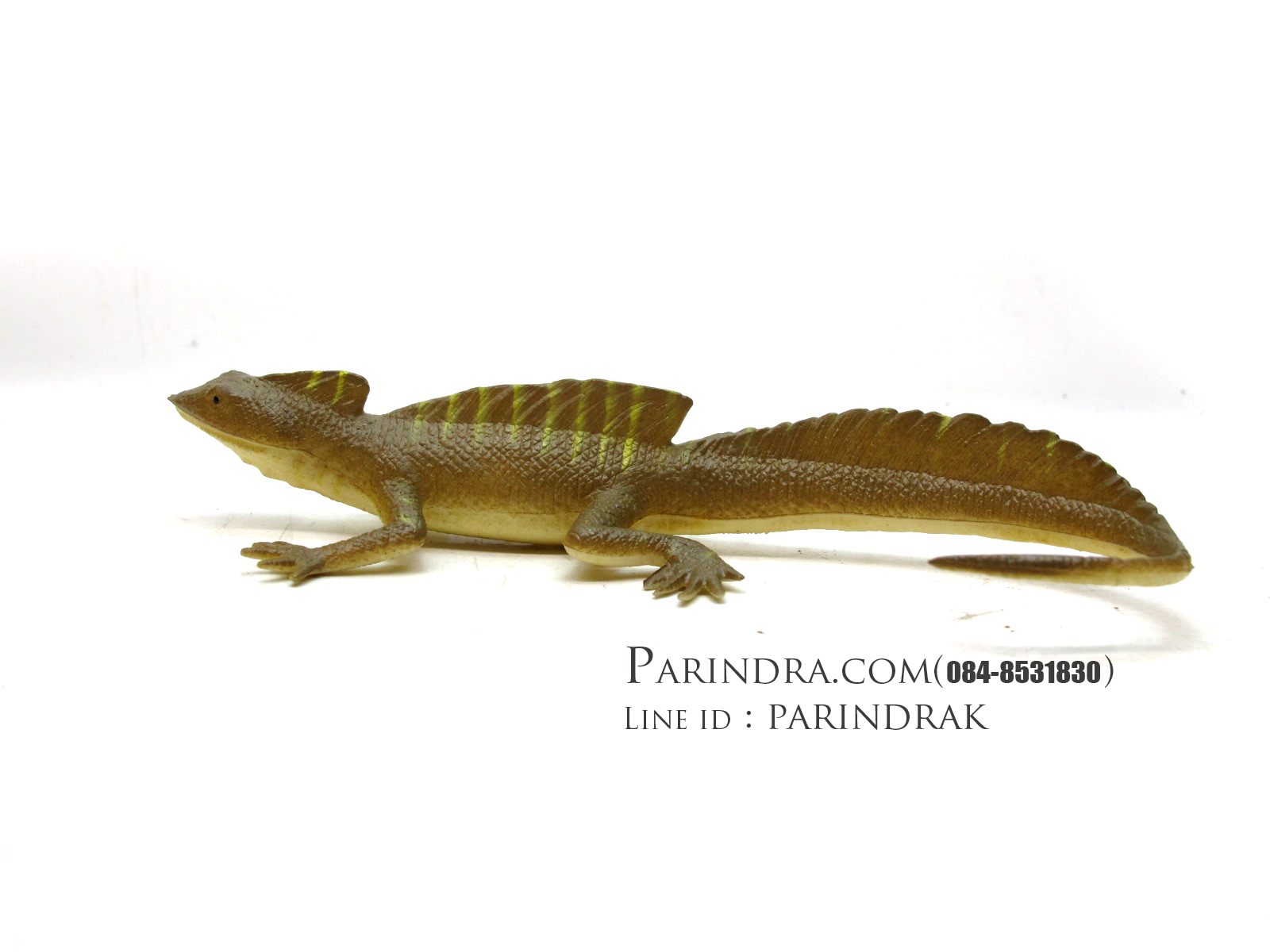 โมเดลกิ้งก่าบาซิลิสก์ Basilisk Lizard model