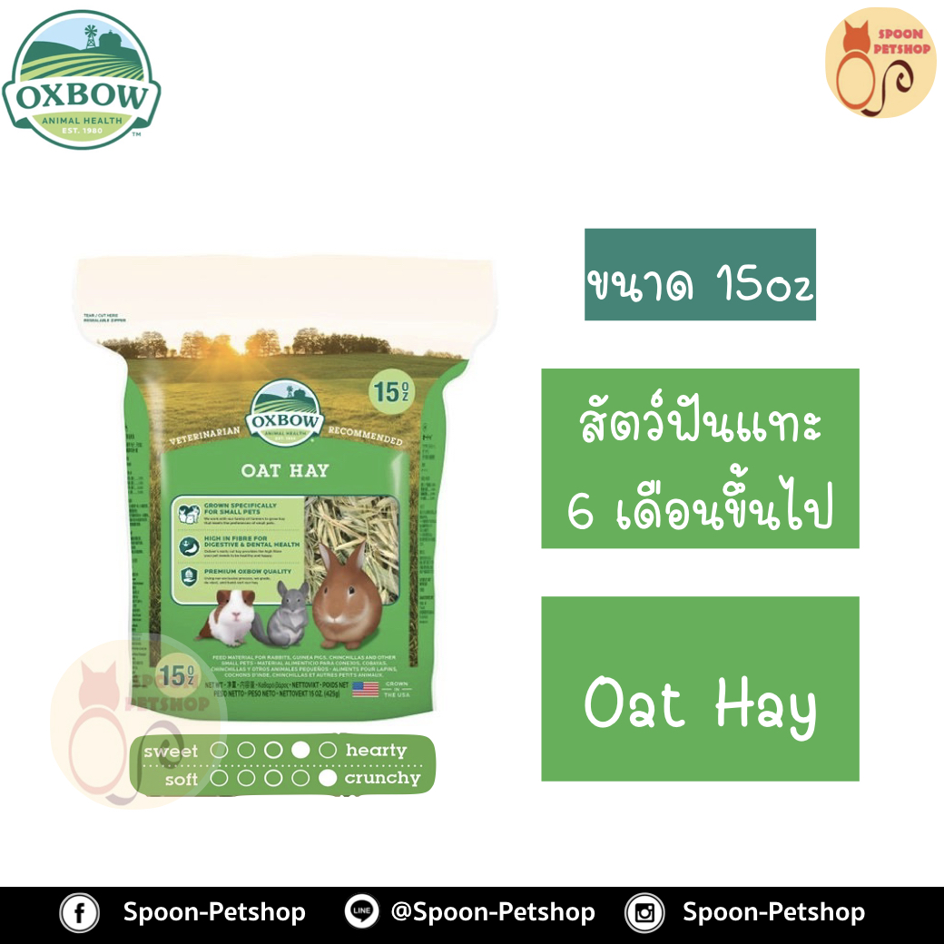 Oxbow Oat Hay หญ้า อ็อกซ์โบว์ โอ๊ต สำหรับสัตว์ฟันแทะ กระต่าย กระรอก หนูแฮมสเตอร์ หนูแกสบี้ อายุตั้งแต่ 6 เดือนขึ้นไป ขนาด 15Oz