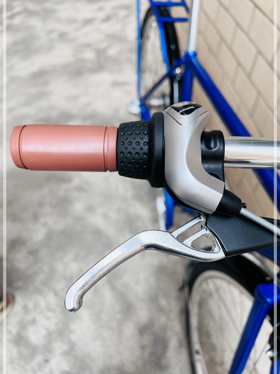 จักรยาน DARKROCK Gentle 007 gentleman recreational Bike เฟรมโครโม 4130 ล้อ 700C เกียร์ดุม NEXUS ไฟหน้า LED