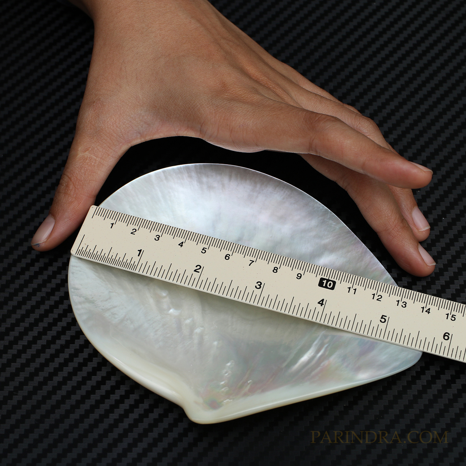 เปลือกหอยมุกจานขาว WHITE PEARL ขัดมันแวววาว สวยงาม