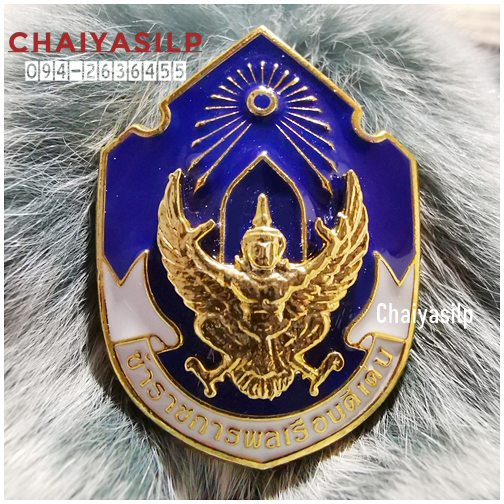 เข็มข้าราชการพลเรือนดีเด่น เข็มกำนัน เข็มผู้ใหญ่ เข็มโรงเรียนนายอำเภอ เข็มโรงเรียนข้าราชการท้องถิ่น