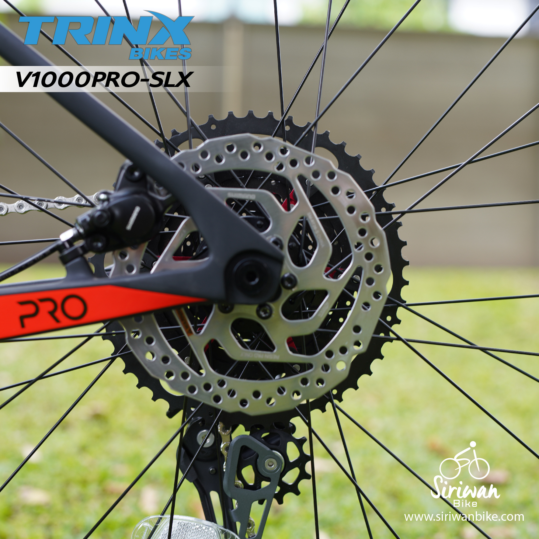 จักรยานเสือภูเขา TRINX V1000 Pro Thru-Axle 29er wheelset, CARBON Frame, 29er 12สปีด เกียร์ SLX TRINX MY2022