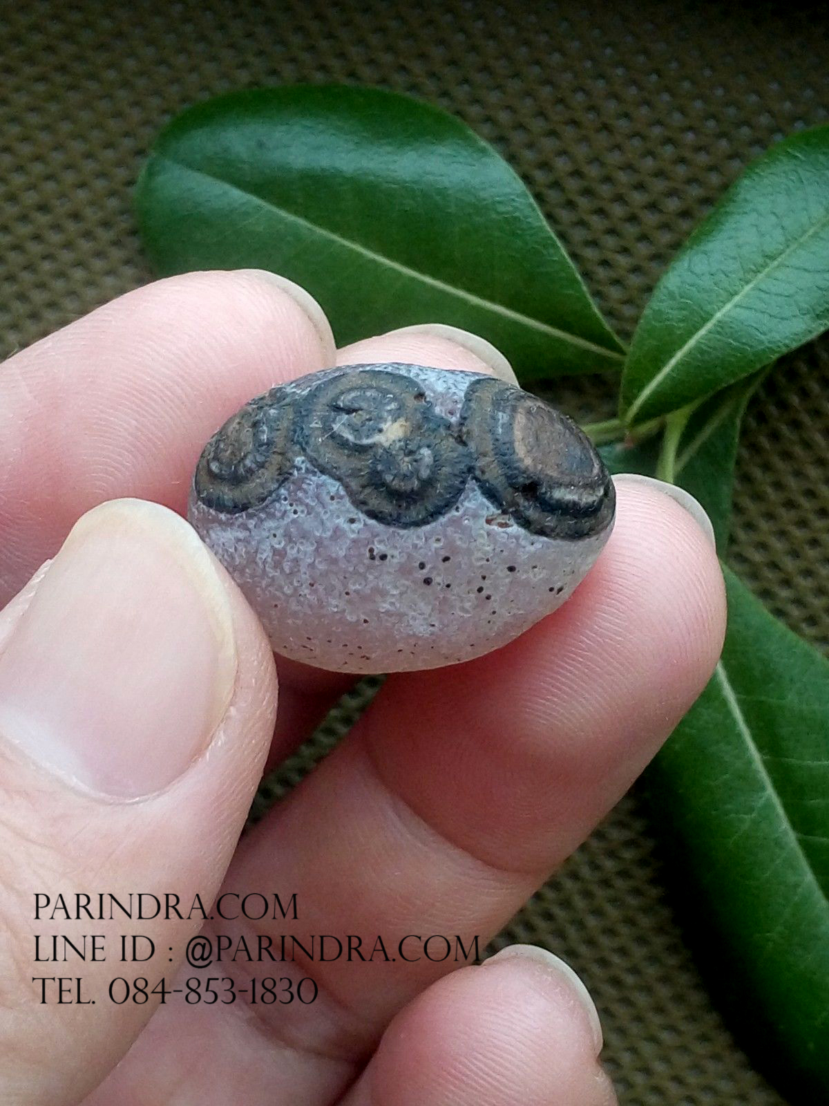 หินรูปทรงประหลาดจากทะเลทรายโกบี GOBI Eye Stone #GOBI003