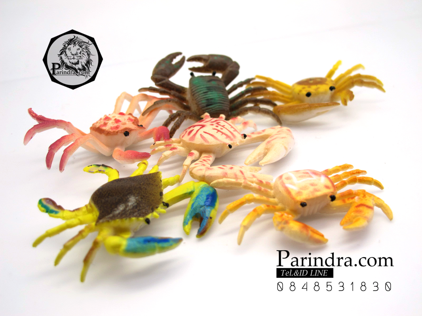 โมเดลชุดปูทะเล Educational Toys SEA CRAB มีหลายสีหลายชนิด ครบชุด 6 ตัว