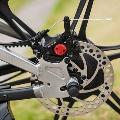 ZIMO X2 Pedal Assist Electric Bicycle Motor 240W/36V 4.4AH Li-ion Battery LG