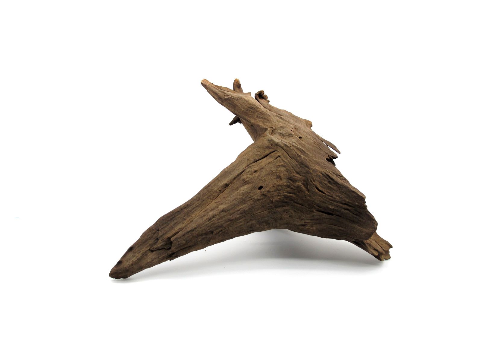 ขอนไม้ตกแต่งตู้ปลาหรือใช้เลี้ยงสัตว์เลื้อยคลาน 053