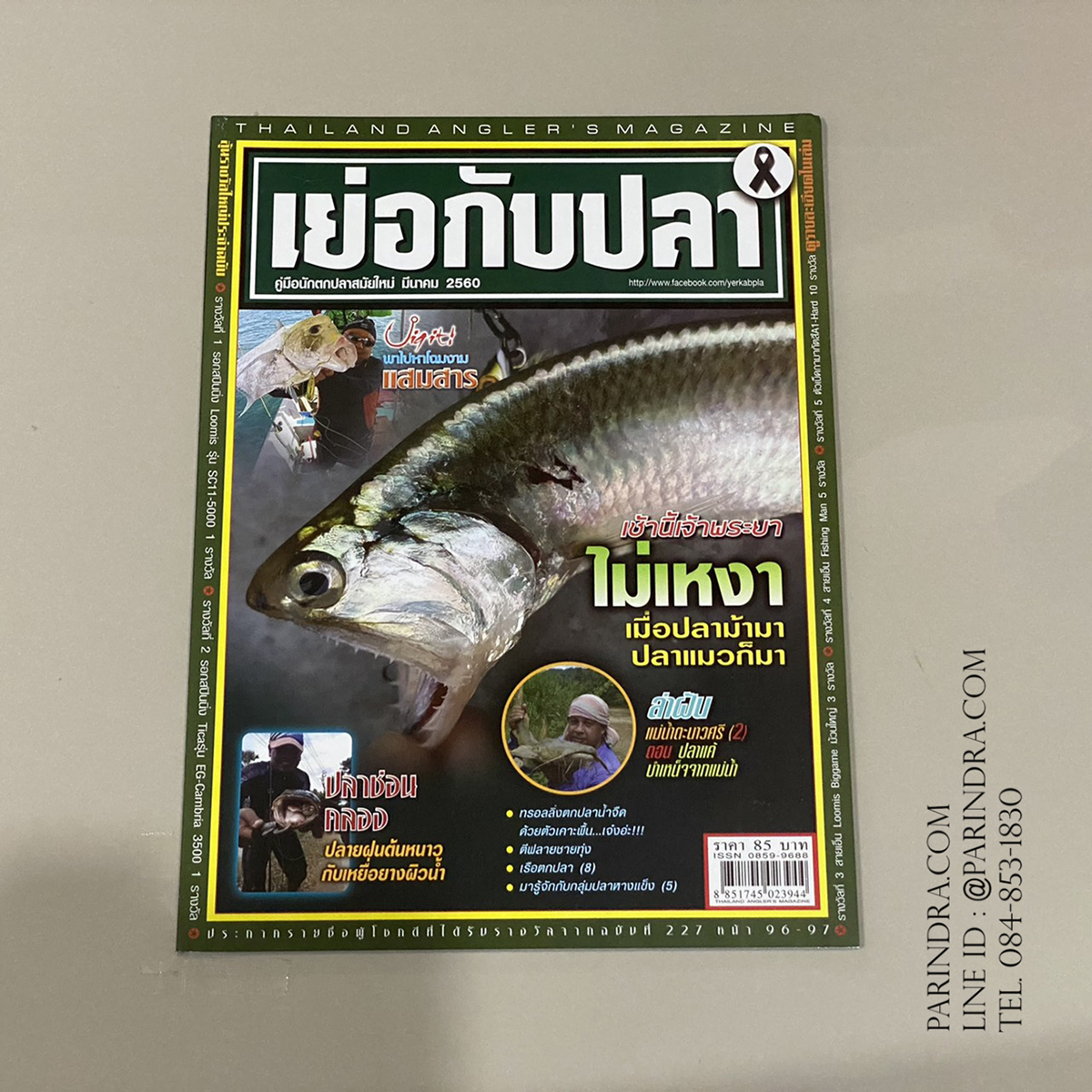 นิตยสาร เย่อกับปลา หน้าปก เจ้าพระยา ไม่เหงา ปลาม้ามาปลาแมวก็มา ฉบับที่ 227 เดือนมีนาคม ปี 2560