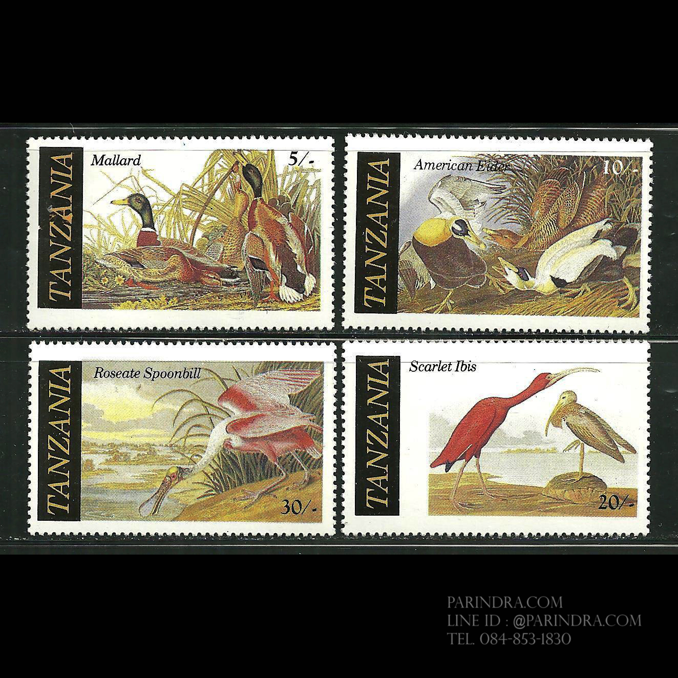 แสตมป์แทนซาเนีย ชุด AUDUBON BIRDS นกน้ำแห่งอะดูบอน ปี 1986 - TANZANIA