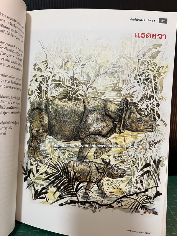 สารคดีฉบับพิเศษ 3 : สัตว์ป่าเมืองไทยก่อนจะเหลือเพียงความทรงจำ