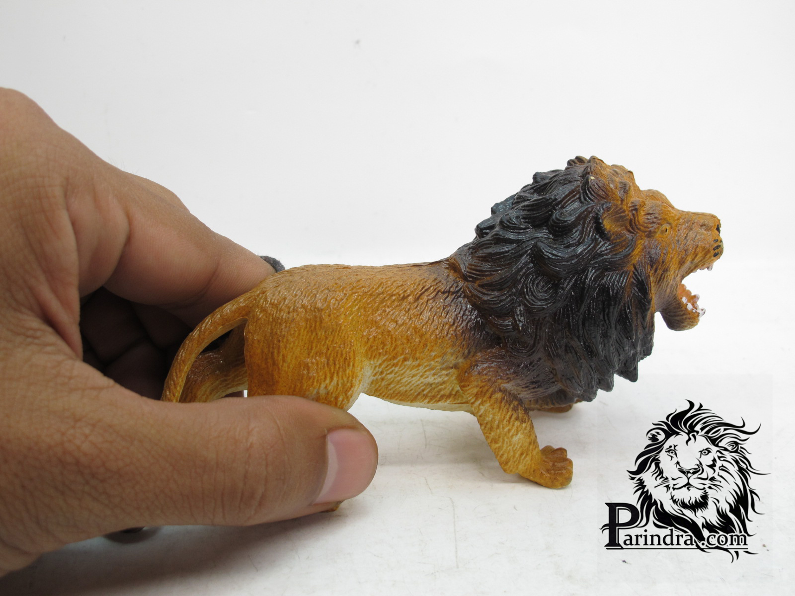 โมเดลสิงโตผยอง Lion