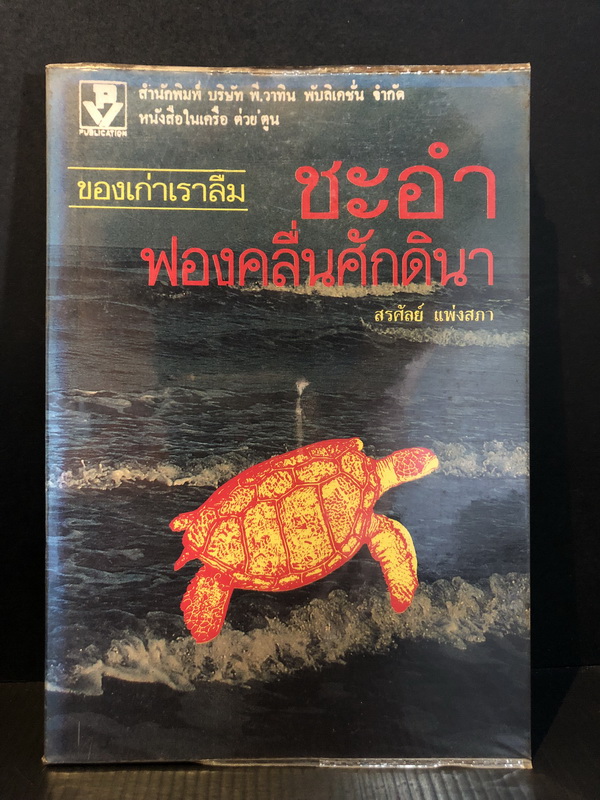 ชะอำฟองคลื่นศักดินา ผลงานของ สรศัลย์ แพ่งสภา