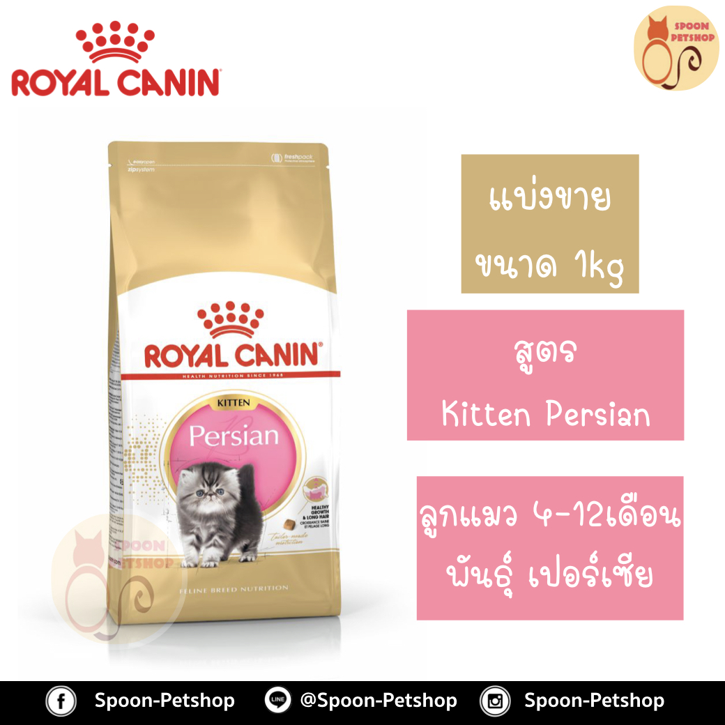 Royal Canin อาหารแมว โรยัล คานิน Kitten Persian 32 แบ่งขาย 1กิโล ใส่ถุง ซิปล็อค สำหรับ ลูกแมวเปอร์เซีย 4-12 เดือน