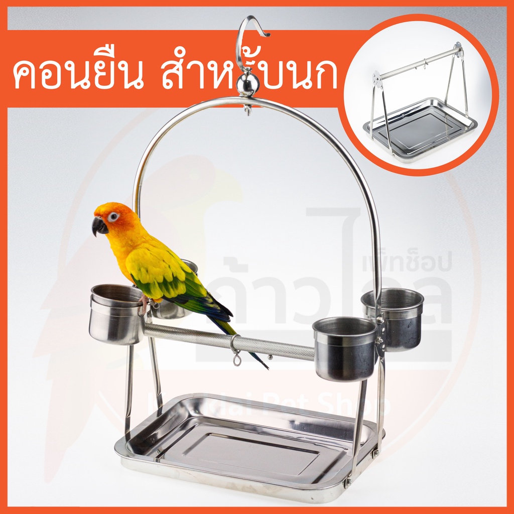 เซตคอนแสตนเลส สำหรับนกขนาดเล็ก - กลาง คอนยืนนกแก้ว คอนนก คอนลับเล็บ