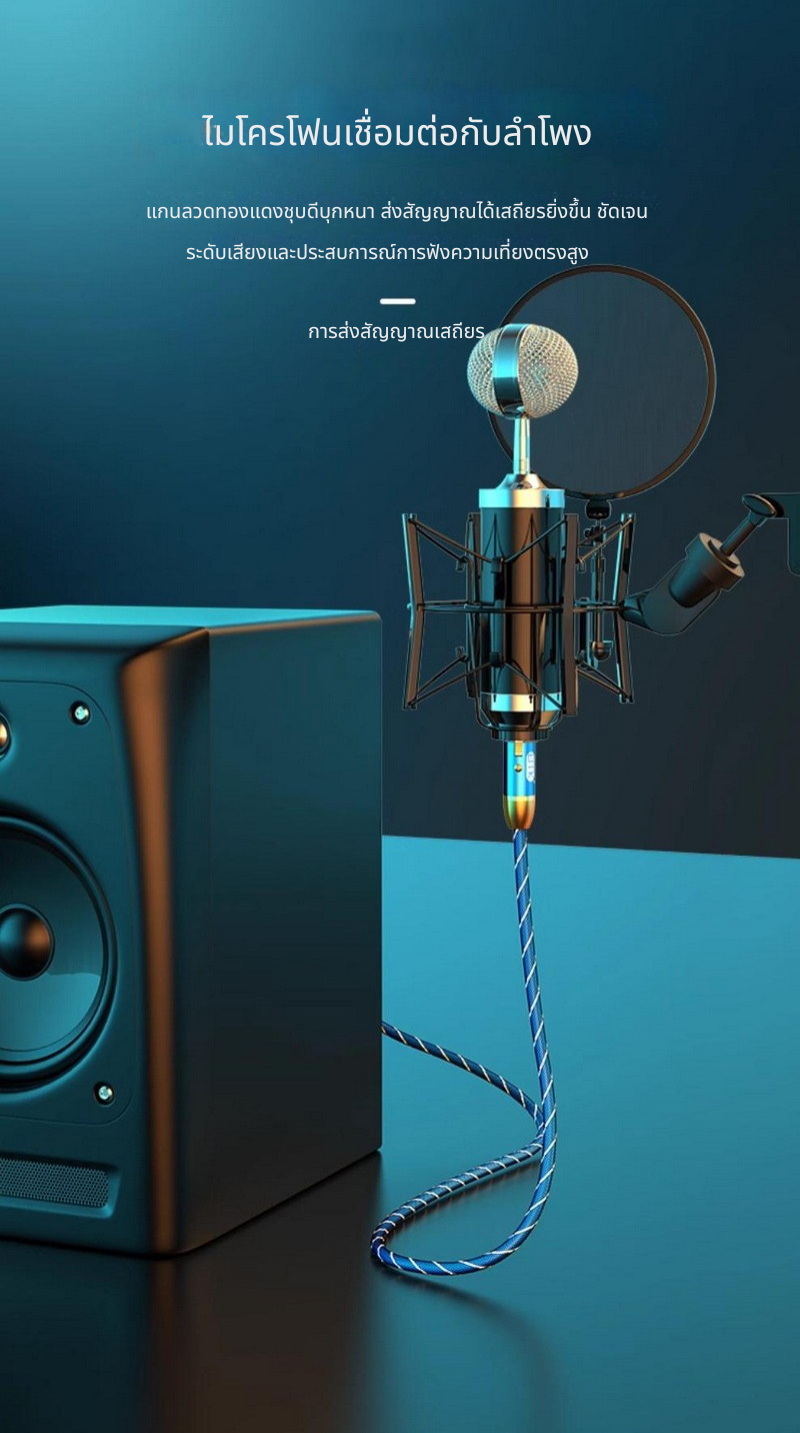 ERTK RCA to Female XLR สำหรับใช้งานกับเครื่องเสียง, เครื่องขยายเสียง, มิกเซอร์, ไมโครโฟน ประกันศูนย์ไทย