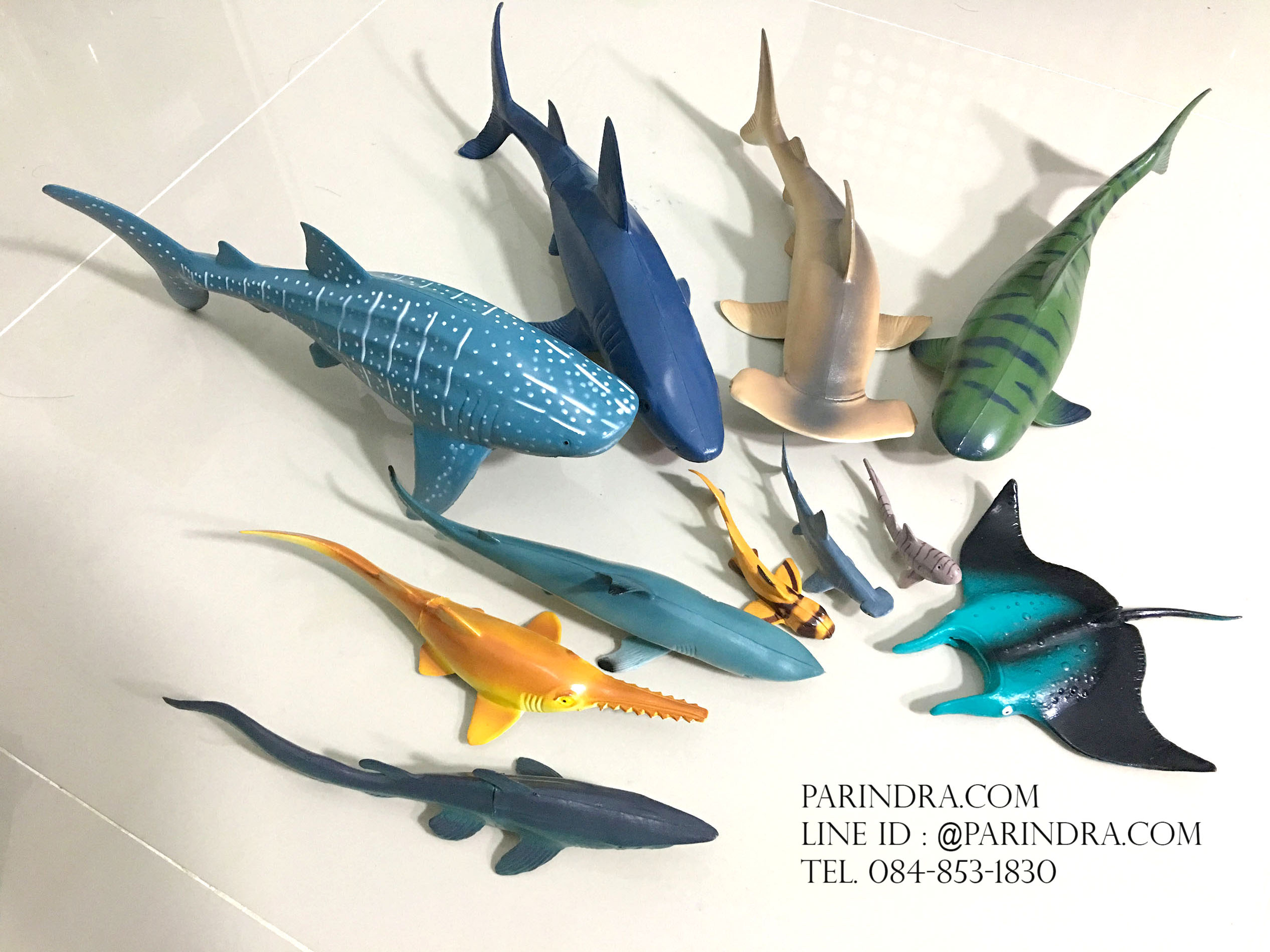 โมเดลสัตว์ทะเล ชุด Ocean World กลุ่ม ฉลาม หลากหลายสายพันธุ์