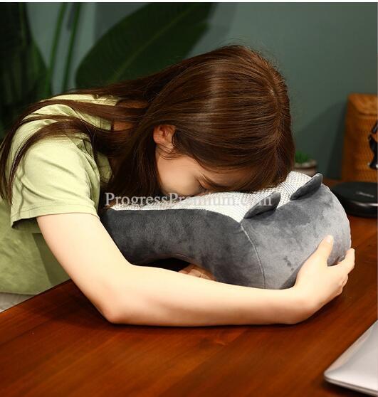 หมอนอเนกประสงค์