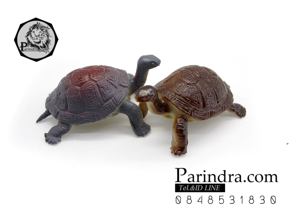 โมเดลเต่ายักษ์กาลาปากอส ชุดคู่สองตัว