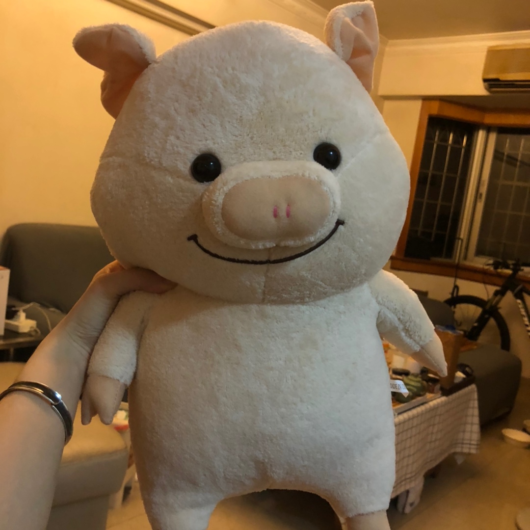 ตุ๊กตาหมู นุ่มนิ่ม สุดคิ้วท์