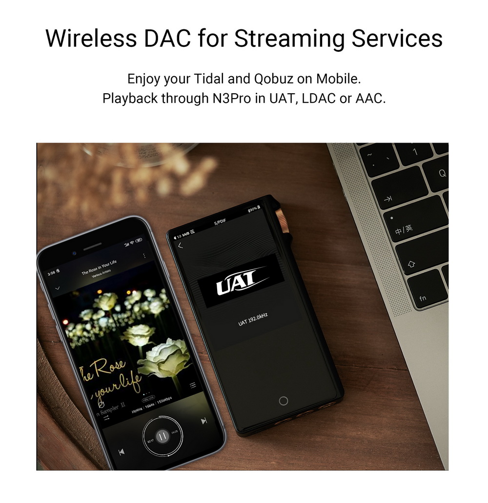 ขาย Cayin N3 Pro Dap พกพา ชิป Dual AK4493 DAC รองรับ Hi-Res , Wireless DAC