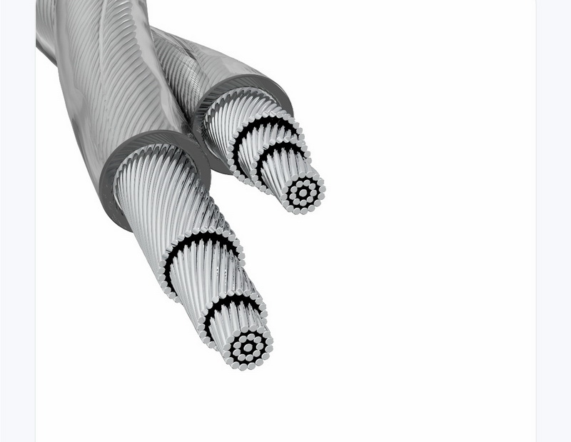 SuperTFZ KING KONG หูฟัง IEMs 2 ไดรเวอร์ Dynamic ไดอะแฟรมคอมโพสิตโพลีเมอร์ เสียงดี ประกันศูนย์ไทย