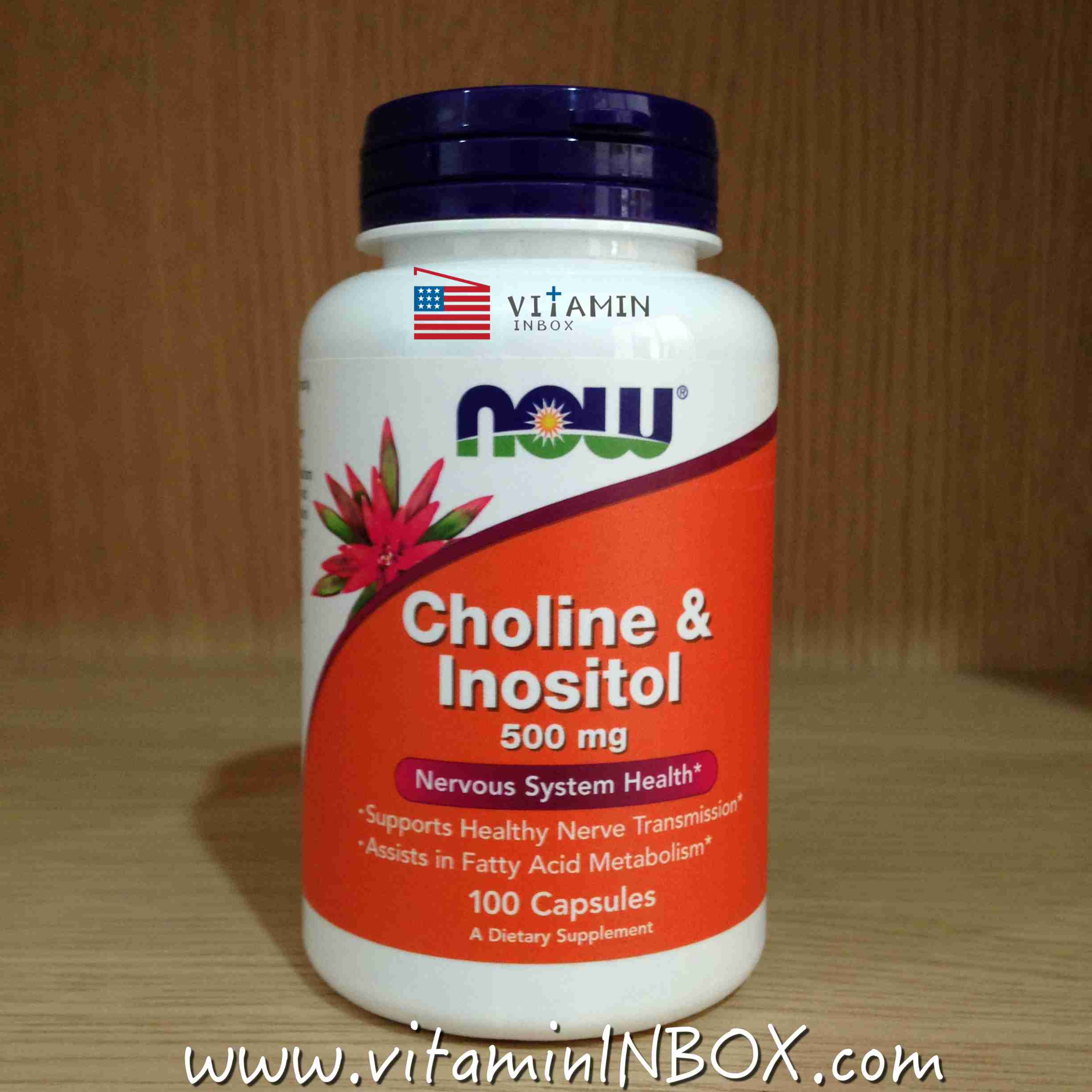 # การเรียนรู้ # Now Foods, Choline & Inositol, 500 mg, 100 Capsules