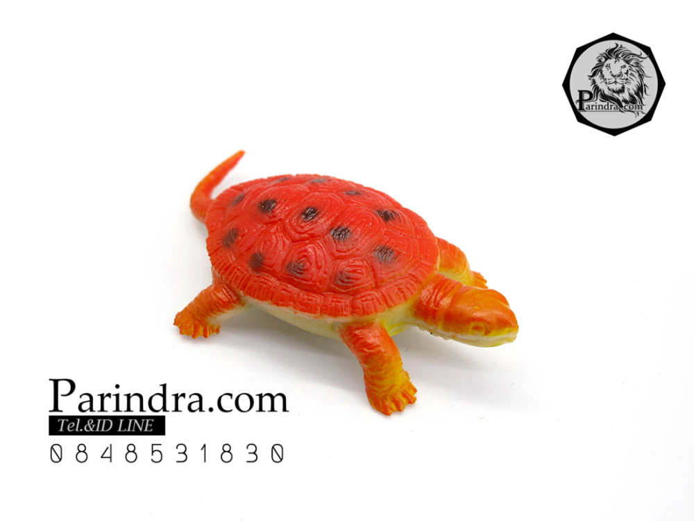 โมเดลเต่าสแนปปิ้ง ชุดคู่สองตัว