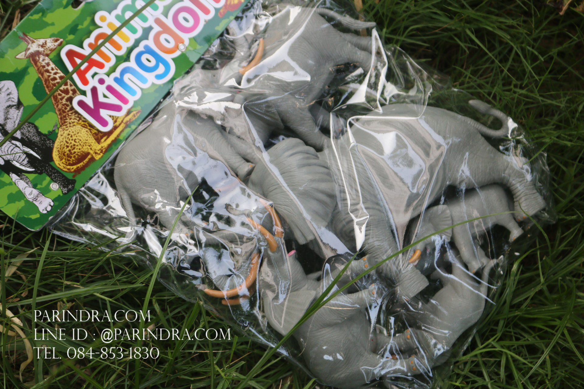 โมเดลสัตว์ชุดโขลงช้าง