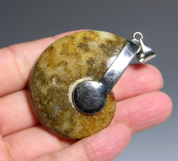 จี้สร้อยคอฟอสซิลหอยแอมโมไนท์ สำหรับห้อยคอ หรือพวงกุญแจ ACC1