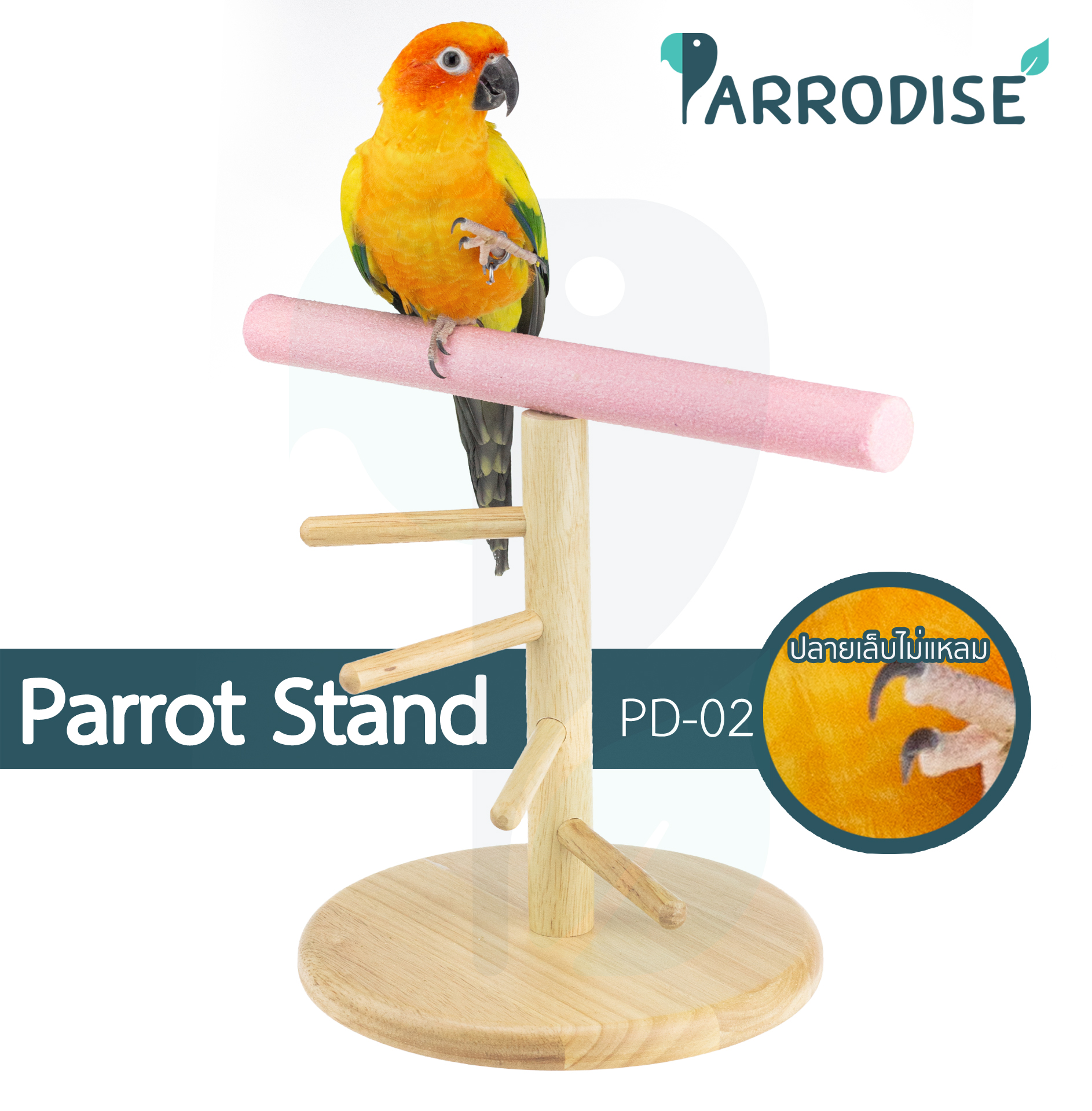 Parrodise PD-02 คอนกลมใหญ่ คอนยืนนกแก้ว คอนไม้ คอนบันไดวน ที่ยืนนกแก้ว คอนลับเล็บ