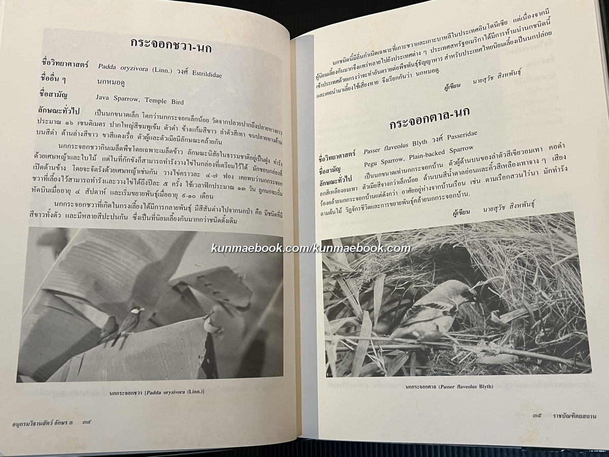 อนุกรมวิธานสัตว อักษร ก ฉบับราชบัณฑิตยสถาน