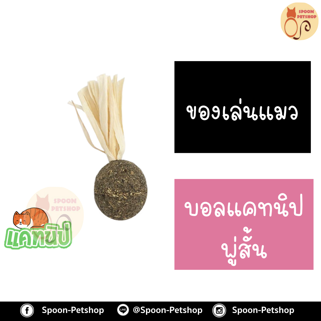 บอลแคทนิป พู่สั้น สำหรับแมว ทำจากธรรมชาติ ปลอดภัยต่อแมว