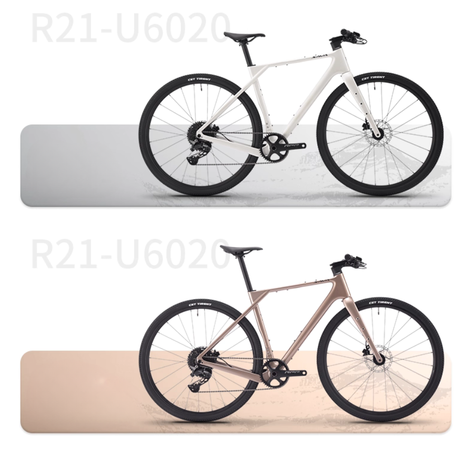 SAVA R21 Hybrid Bike คาร์บอนไฟเบอร์ | จักรยานไฮบริด 700C เบรกดิสน้ำมัน | ปั่นได้ทั้งถนนและออฟโร้ด 10speeds shimano