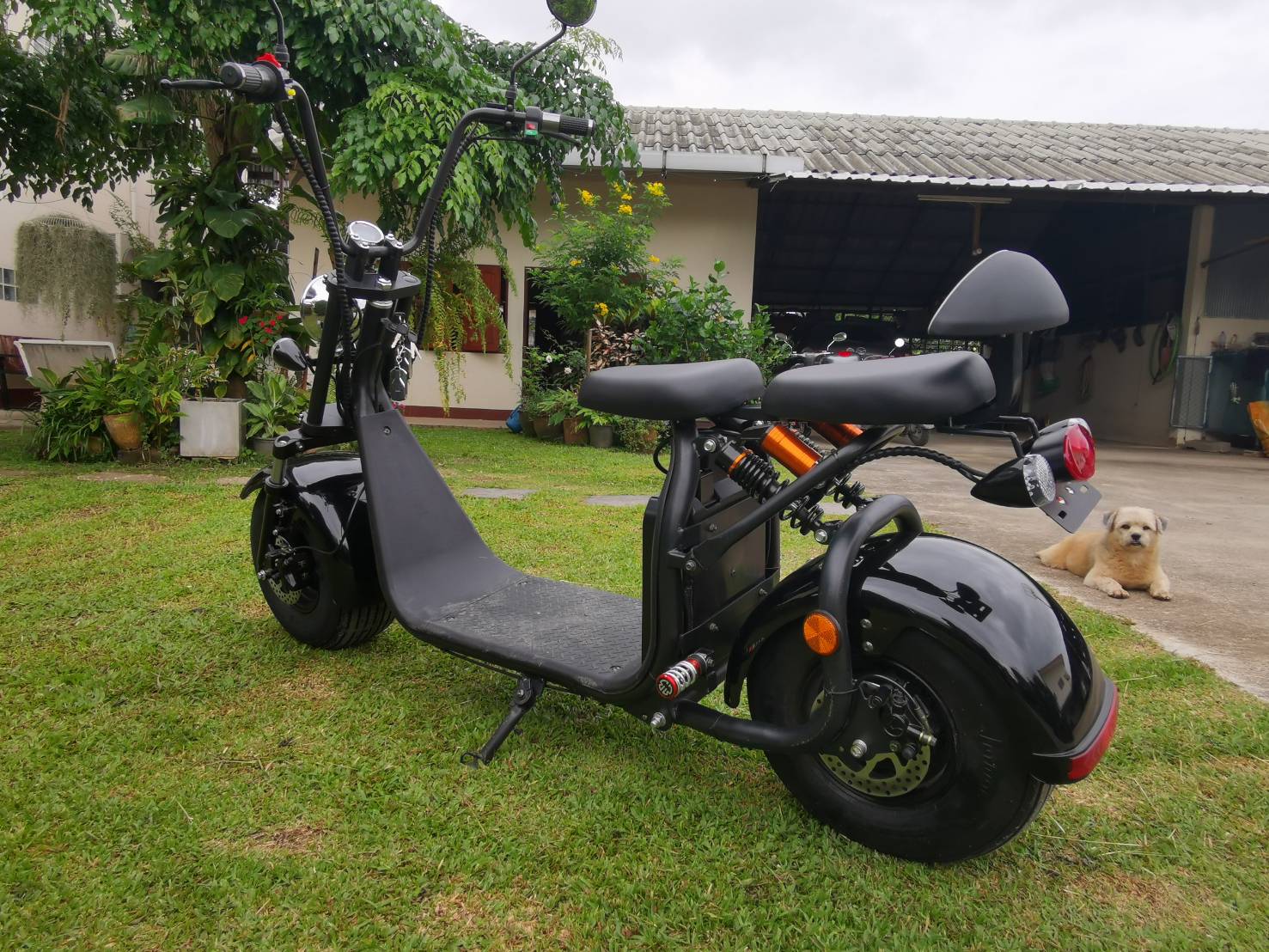 สกูตเตอร์ไฟฟ้าล้อโต HORECA C07A | มอเตอร์ 1500W แบต 60V/20Ah วิ่งไกล 50-60 กม.