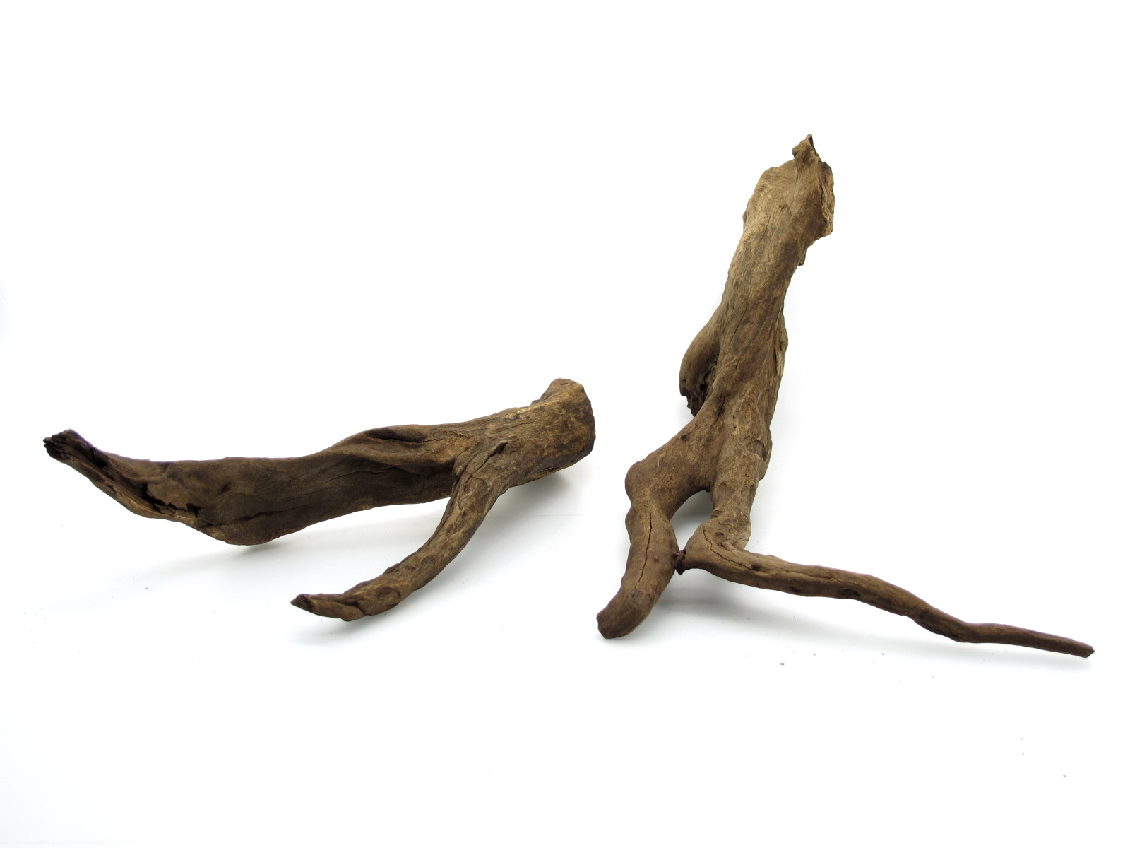 ขอนไม้ตกแต่งตู้ปลาหรือใช้เลี้ยงสัตว์เลื้อยคลาน 059