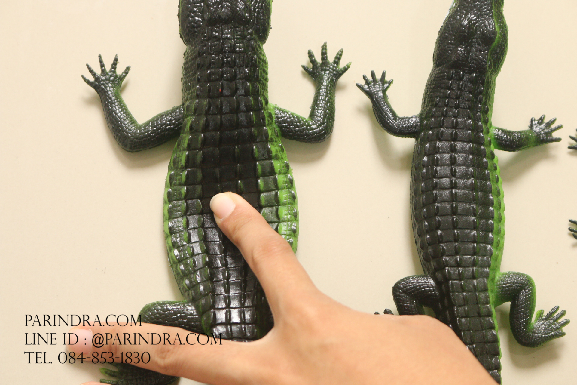 โมเดลจระเข้ สีเขียวอ่อน บีบมีเสียง ขนาดใหญ่ 16 นิ้ว ขนาดใหญ่