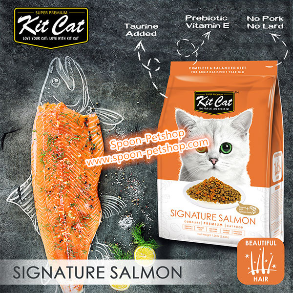 Kit Cat อาหารแมว คิทแคท รสแซลมอน สูตรบำรุงขน (ส้ม) 1.2kg