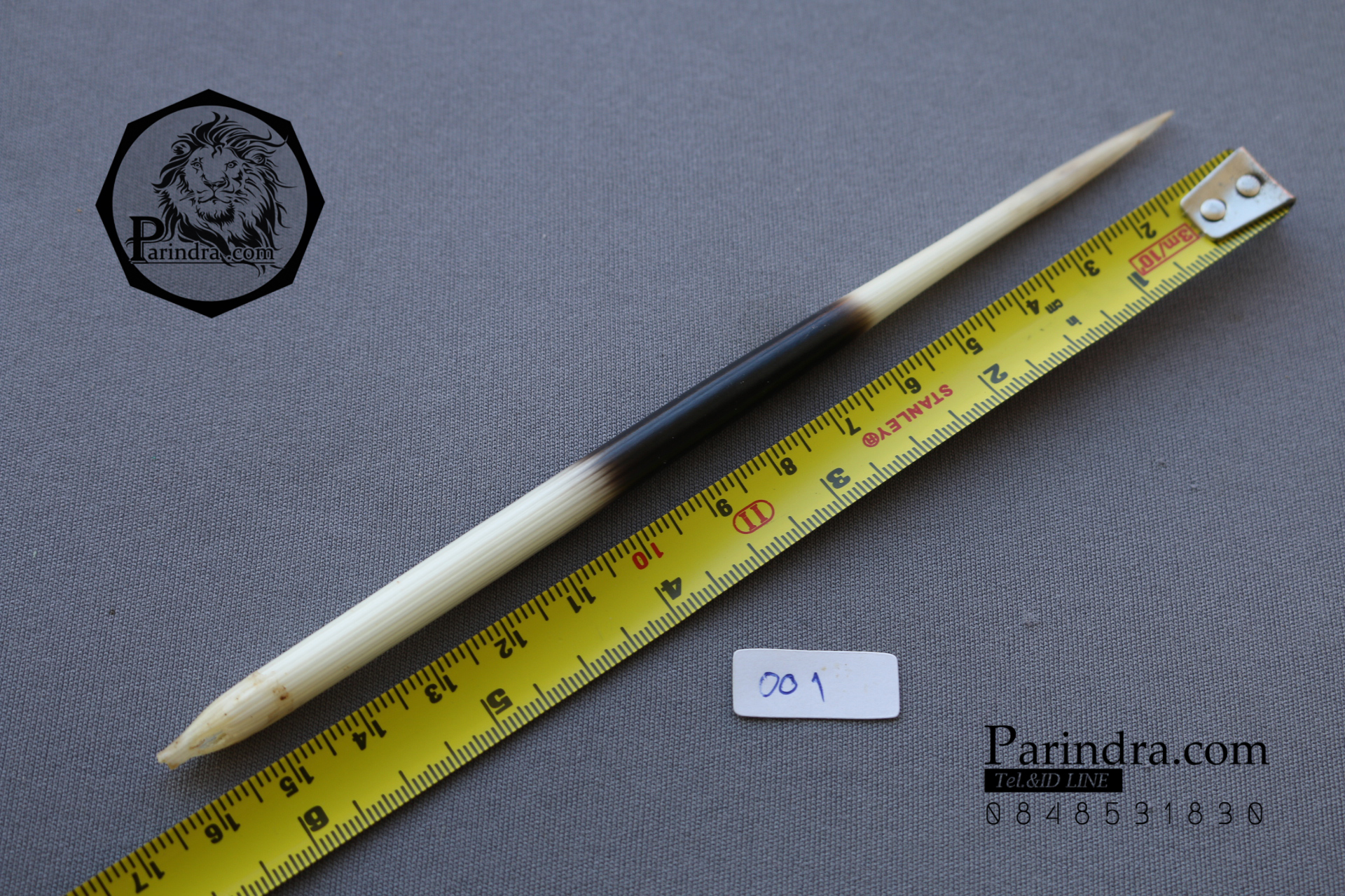 ขายขนเม่น ขนเม่นขนาด 6.5 นิ้ว อวบอ้วน HYB001