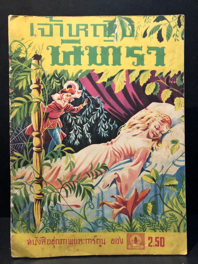 หนังสือชุดภาพสำหรับเด็ก เจ้าหญิงนิทรา ของคุรุสภา บรรยายภาพโดย กำธร สถิรกุล